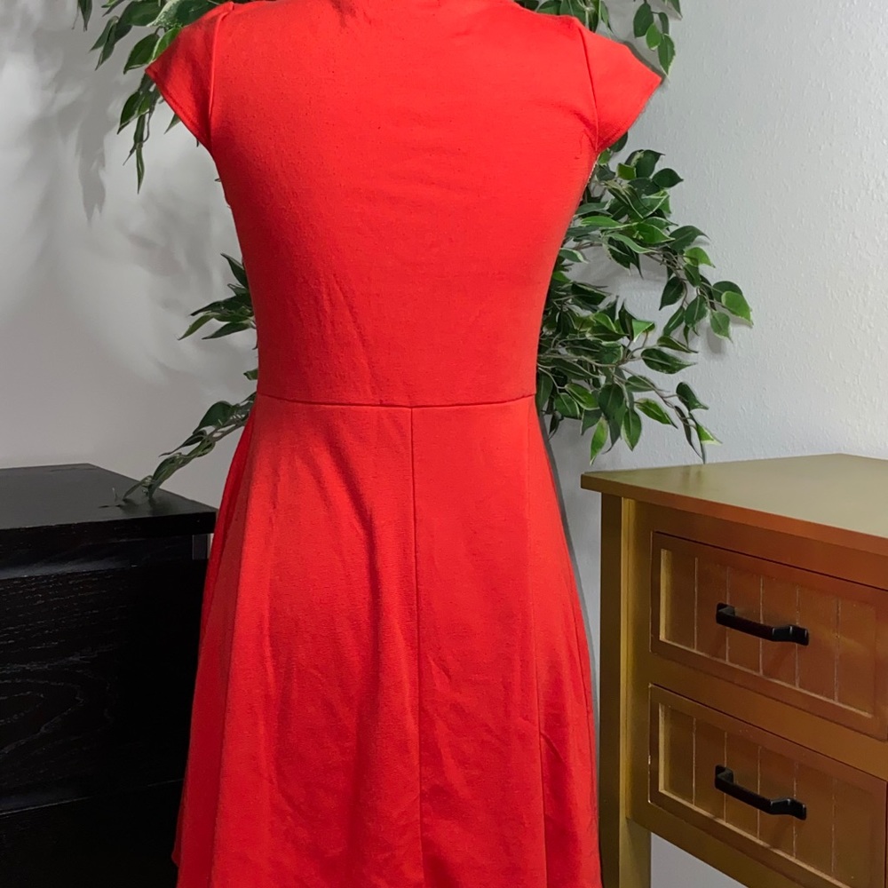 Red Dress - Picture 5 of 5